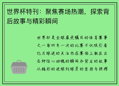世界杯特刊：聚焦赛场热潮，探索背后故事与精彩瞬间