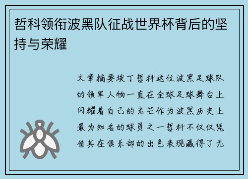 哲科领衔波黑队征战世界杯背后的坚持与荣耀